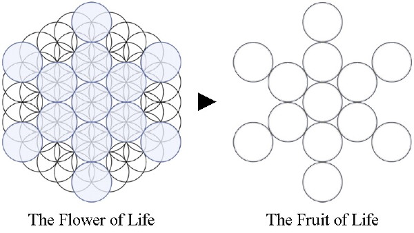 Sacred Geometry Seed Of Life Flower