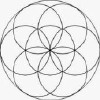seed of life sacred drawing