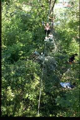 humboldt park zipline artist playground